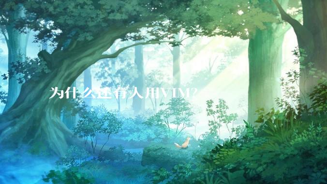 为什么还有人用VIM？