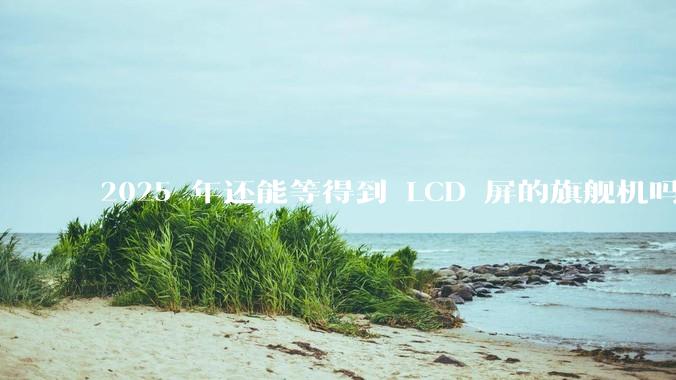 2025 年还能等得到 LCD 屏的旗舰机吗？