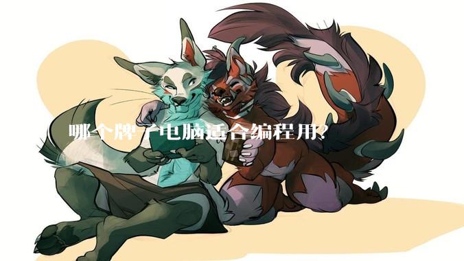 哪个牌子电脑适合编程用？