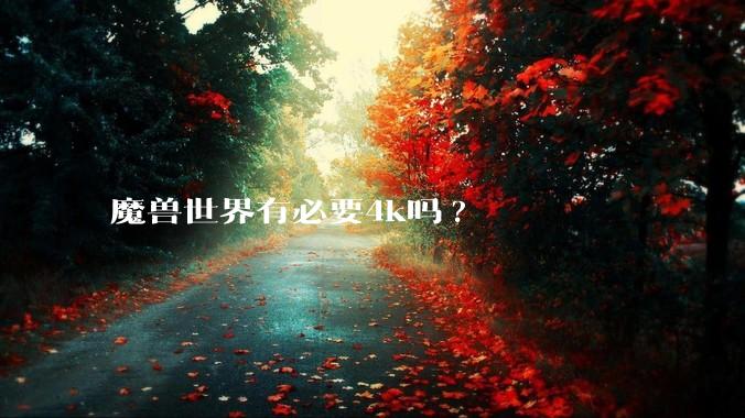 魔兽世界有必要4k吗?
