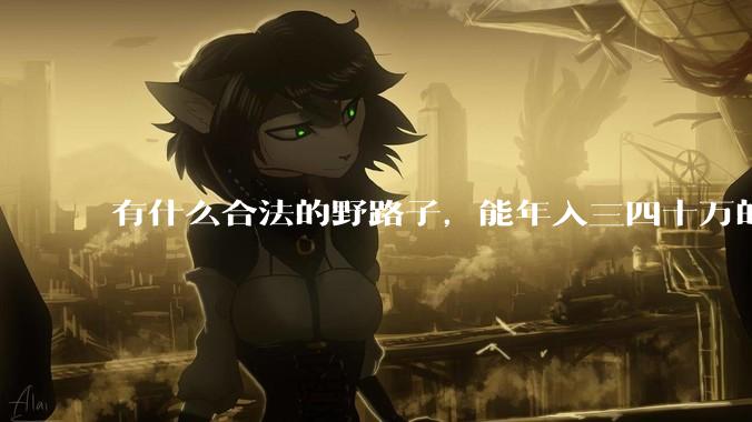有什么合法的野路子，能年入三四十万的？