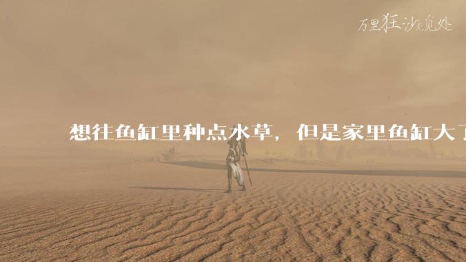 想往鱼缸里种点水草，但是家里鱼缸大了买水草泥或者底砂太贵了，有没有生活中可以替代的物品或其他建议？