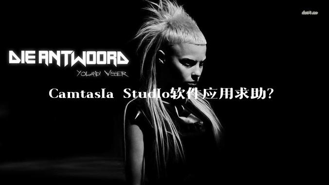 Camtasia Studio软件应用求助？
