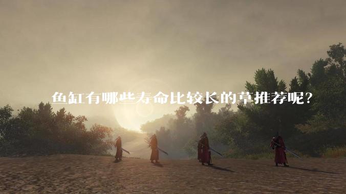 鱼缸有哪些寿命比较长的草推荐呢？