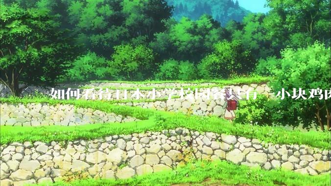 如何看待日本小学校园餐只有一小块鸡肉？