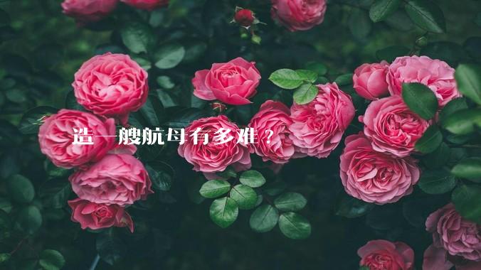 造一艘航母有多难?