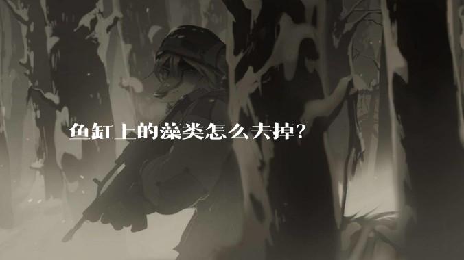 鱼缸上的藻类怎么去掉？