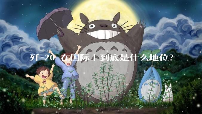 歼-20 在国际上到底是什么地位？