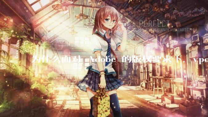 为什么面对 Adobe 的版权要求下，vposy 大神还能从容不迫？