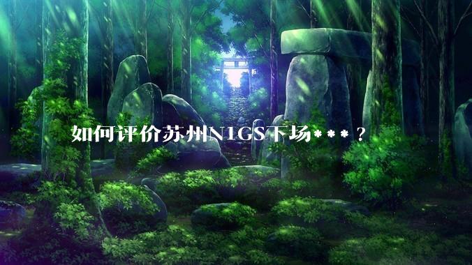 如何评价苏州N1GS下场***?