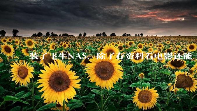 装了飞牛NAS，除了存资料看电影还能干什么？