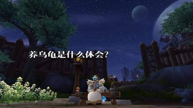 养乌龟是什么体会？