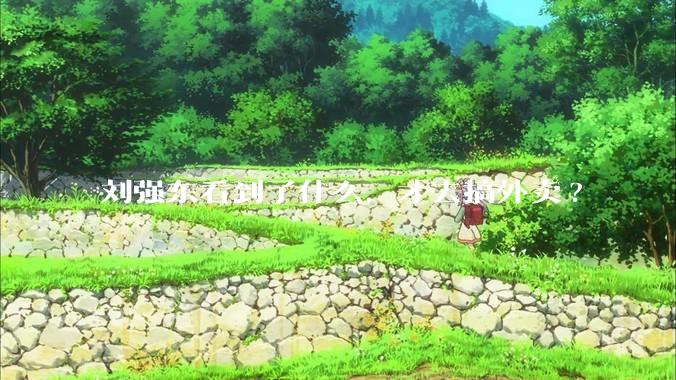 刘强东看到了什么，才去搞外卖?