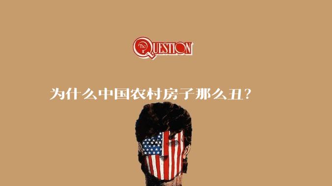 为什么中国农村房子那么丑？