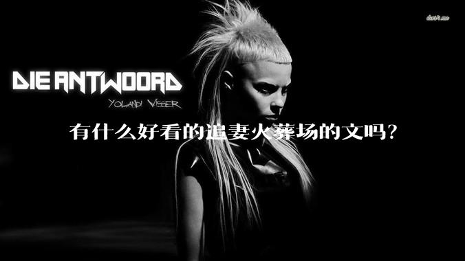 有什么好看的追妻火葬场的文吗？