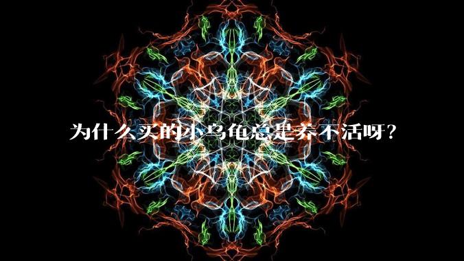 为什么买的小乌龟总是养不活呀？